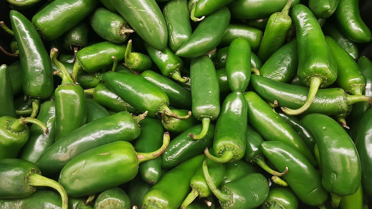 EU reporta brote de salmonela por jalapeños mexicanos
