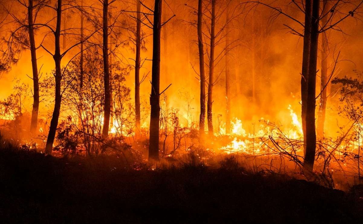 Policía detiene a acusado de incendio en Washington