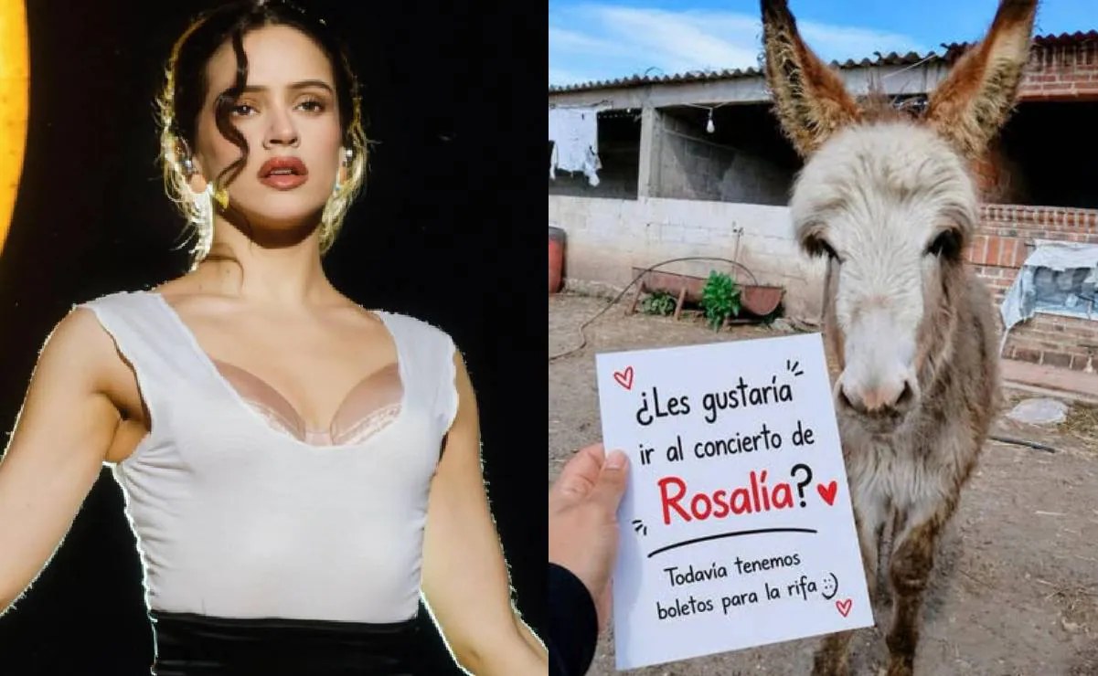 Rosalía impulsa rifa para alimentar 103 burritos en México
