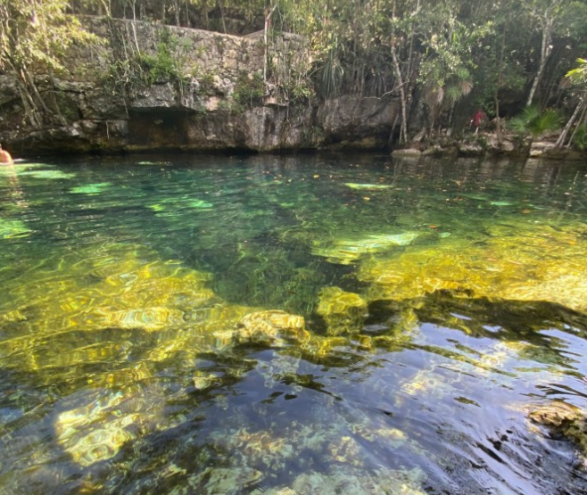 Contaminación afecta casi todos los cenotes urbanos en Playa del Carmen