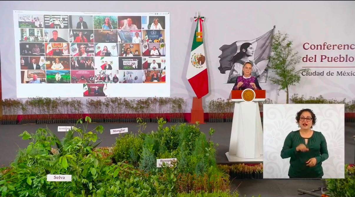 Quintana Roo participa en Jornada Nacional de Reforestación 2026