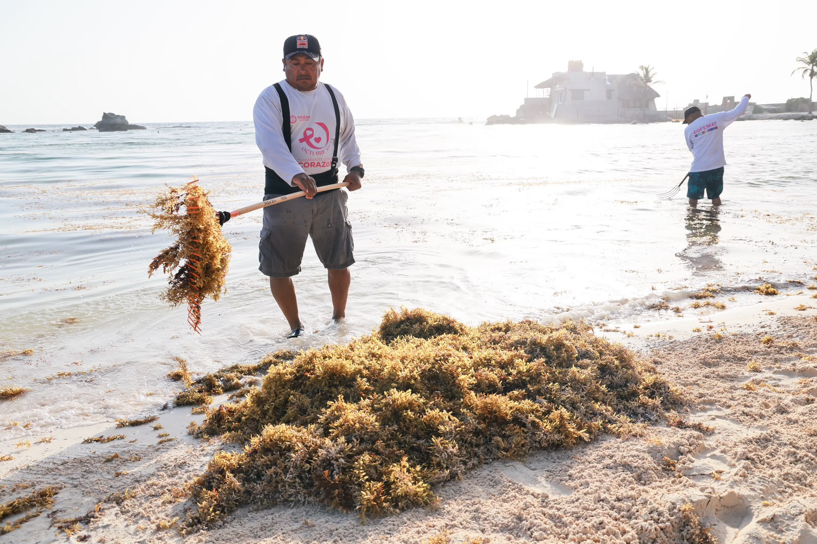 Isla Mujeres retira 110 toneladas de sargazo en Playa Norte