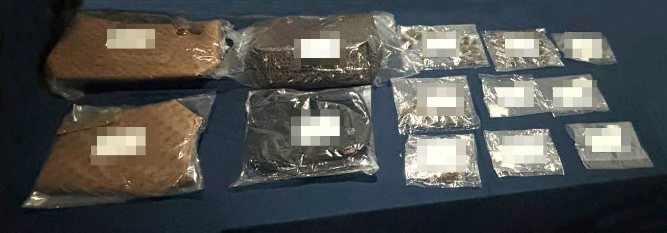 Detienen a cuatro por presuntos delitos contra la salud en Puerto Morelos