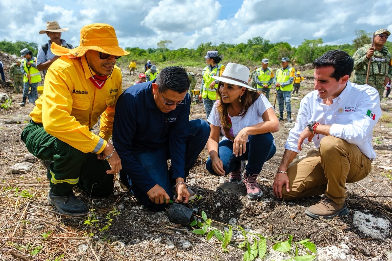 Quintana Roo se suma a programa nacional de reforestación