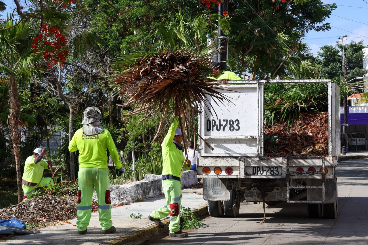 Ayuntamiento de BJ refuerza limpieza e imagen urbana en Cancún