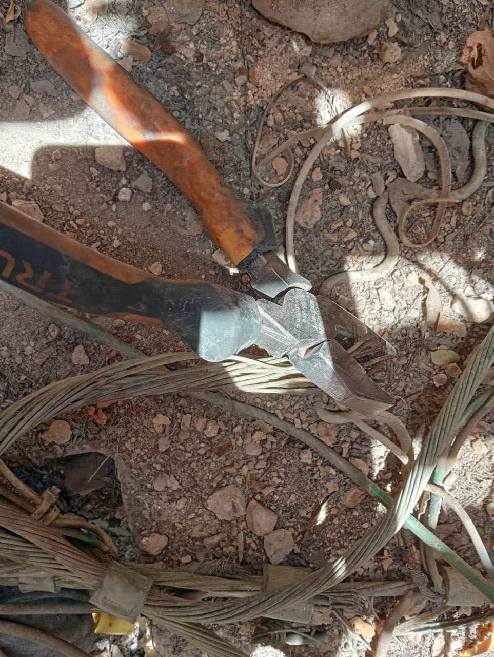 Sabotaje y conexiones ilegales afectan electricidad en Playa del Carmen