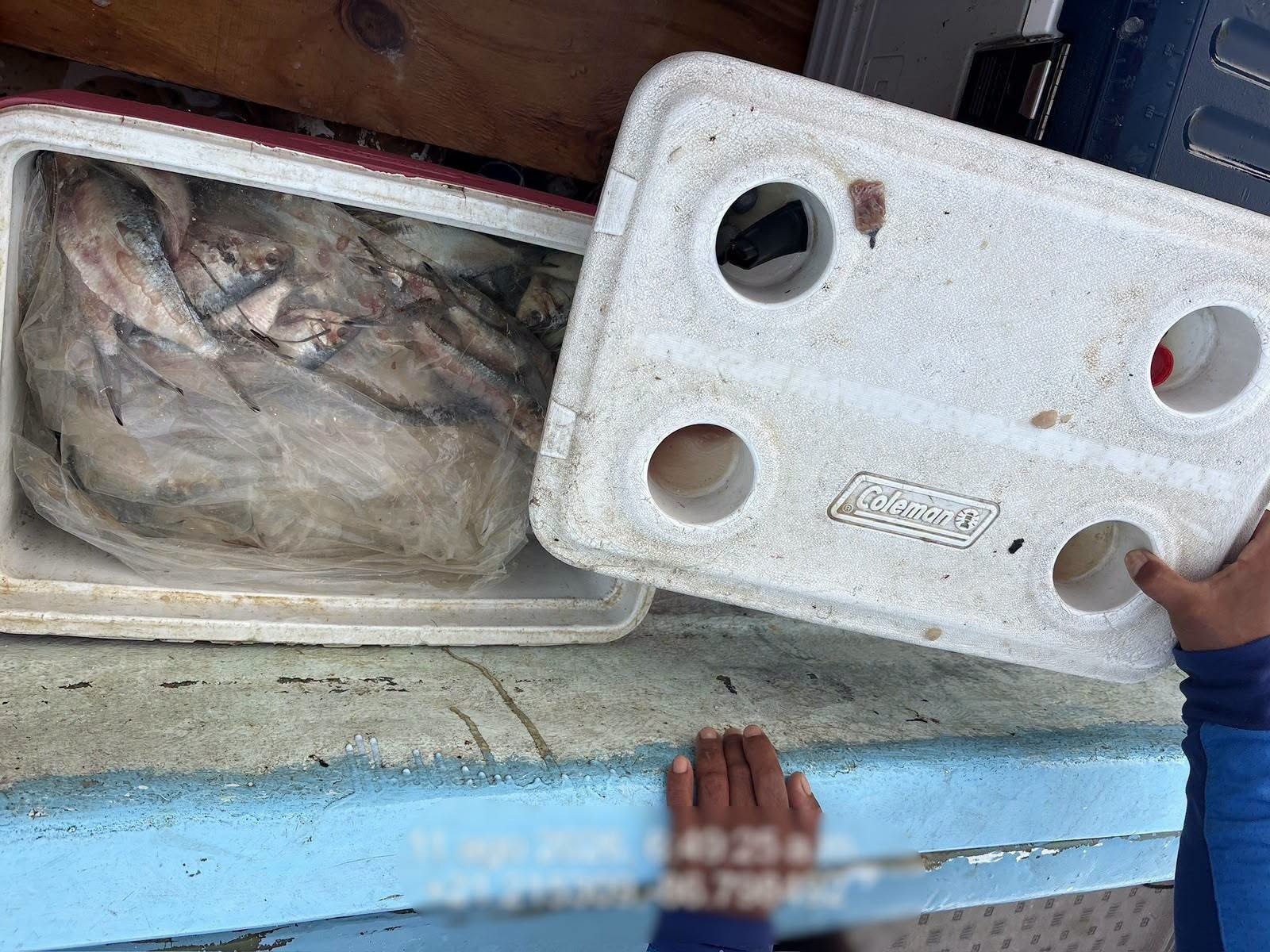 Retienen embarcaciones por pesca sin permisos en Puerto Juárez