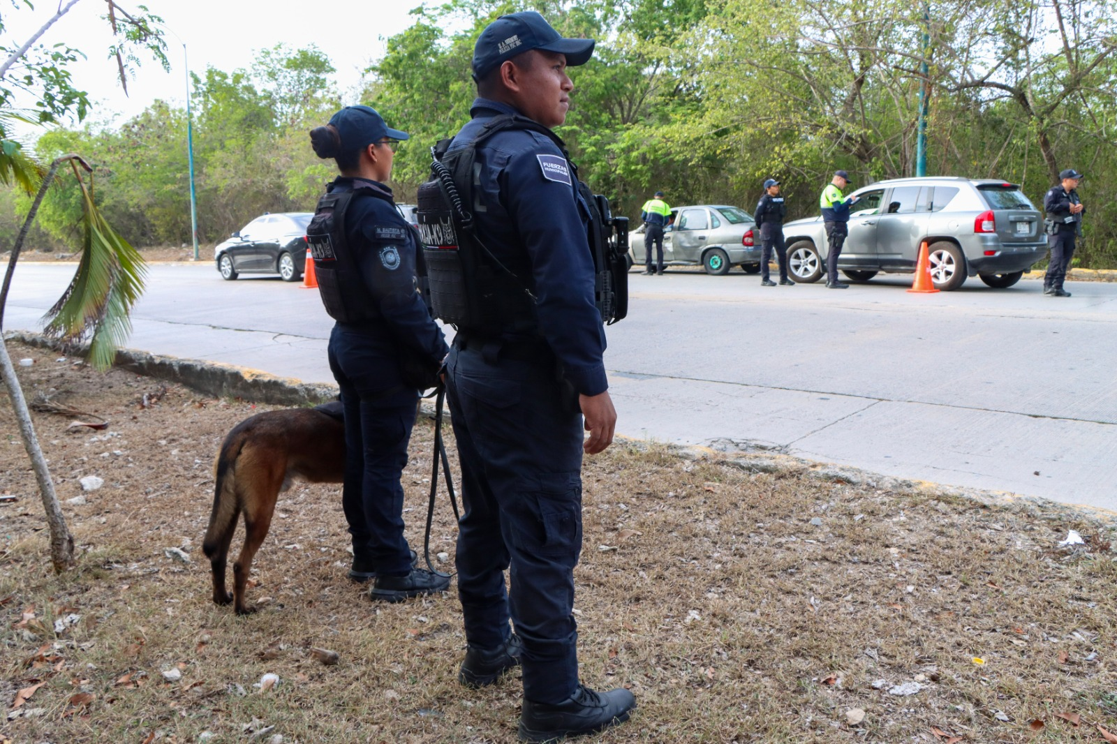Operativo GAMA mejora movilidad y seguridad en Playa del Carmen