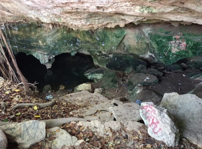 Contaminación afecta casi todos los cenotes urbanos en Playa del Carmen