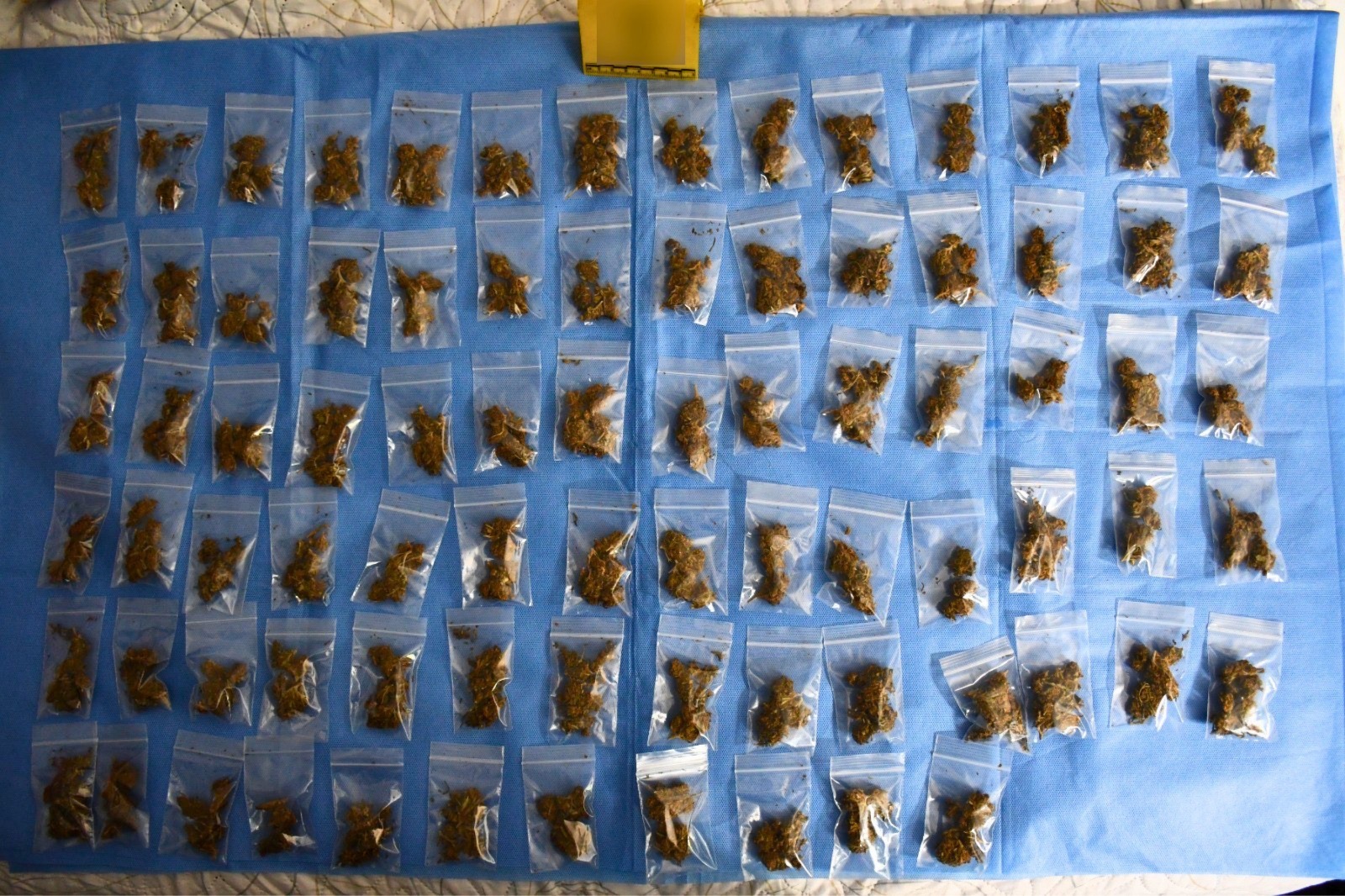 Detienen a cuatro por narcomenudeo en Playa y Cozumel