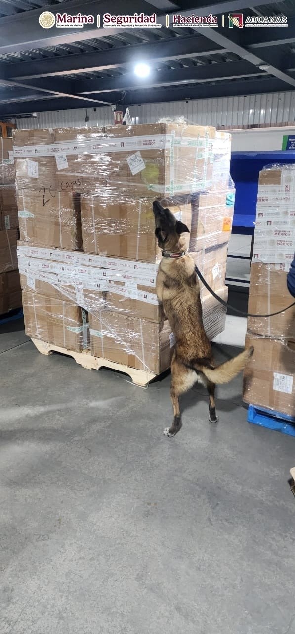 Decomisan más de 2 millones de cigarrillos apócrifos en AICM