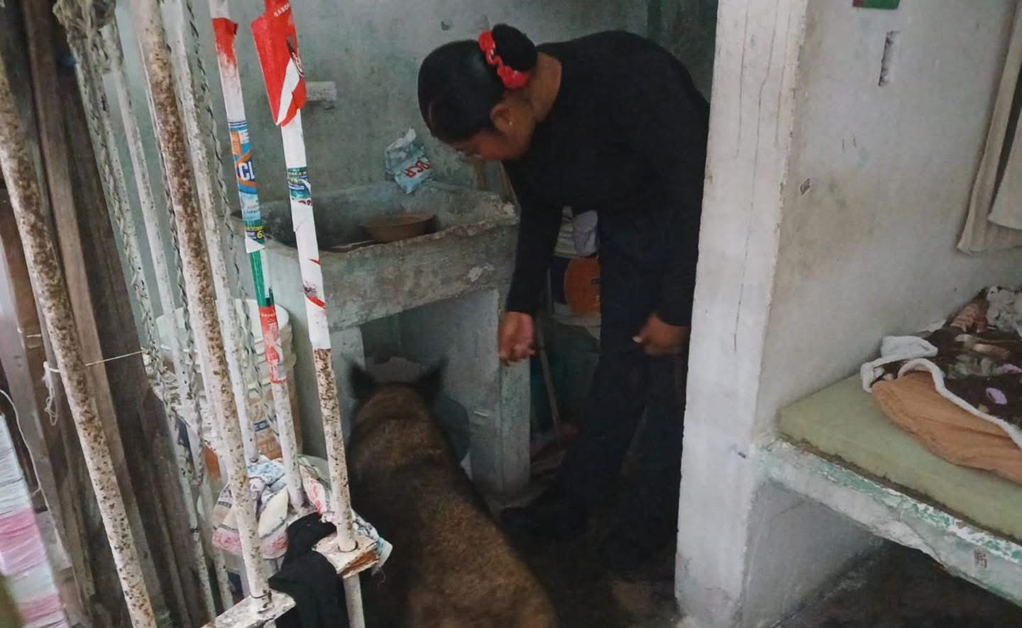 Revisión en Centro Penitenciario de Chetumal