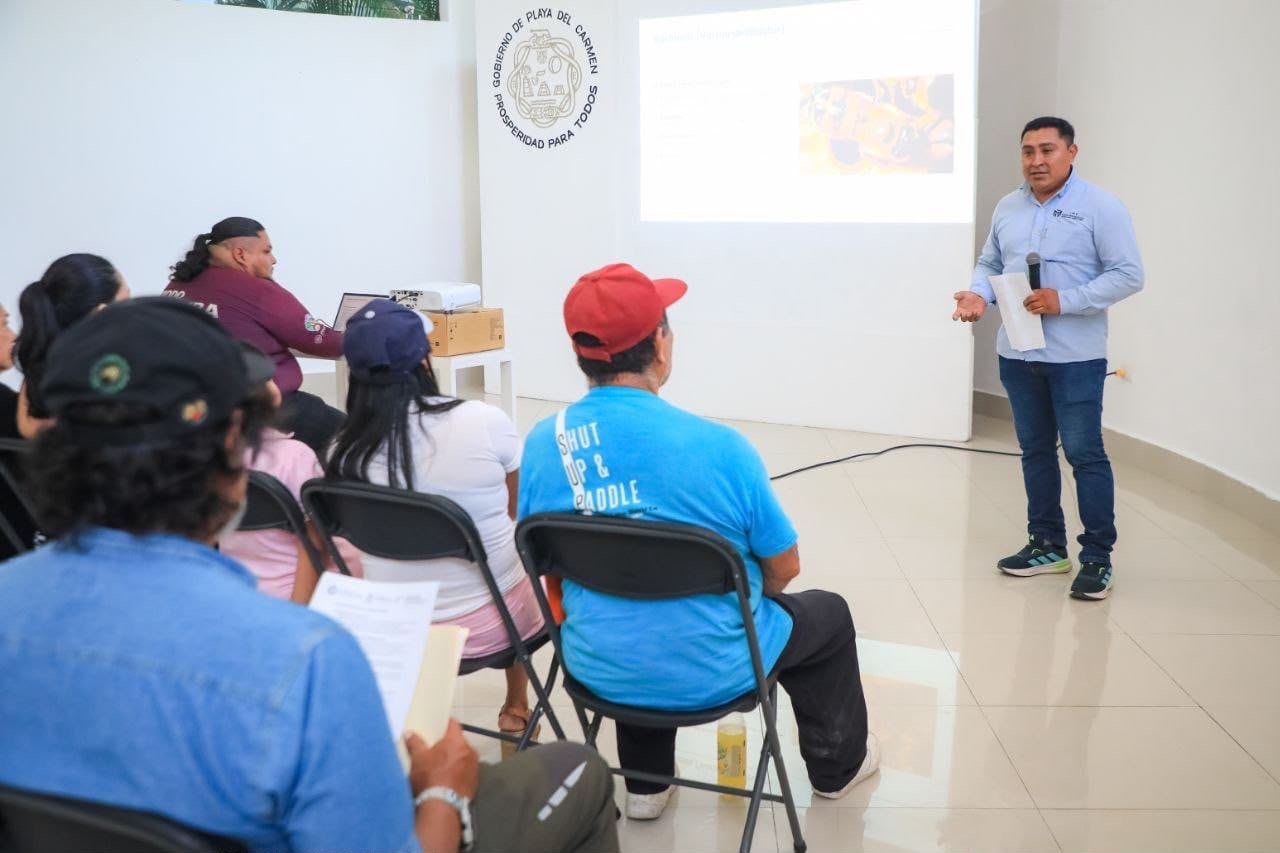 Playa del Carmen capacita a apicultores para prevenir enfermedades