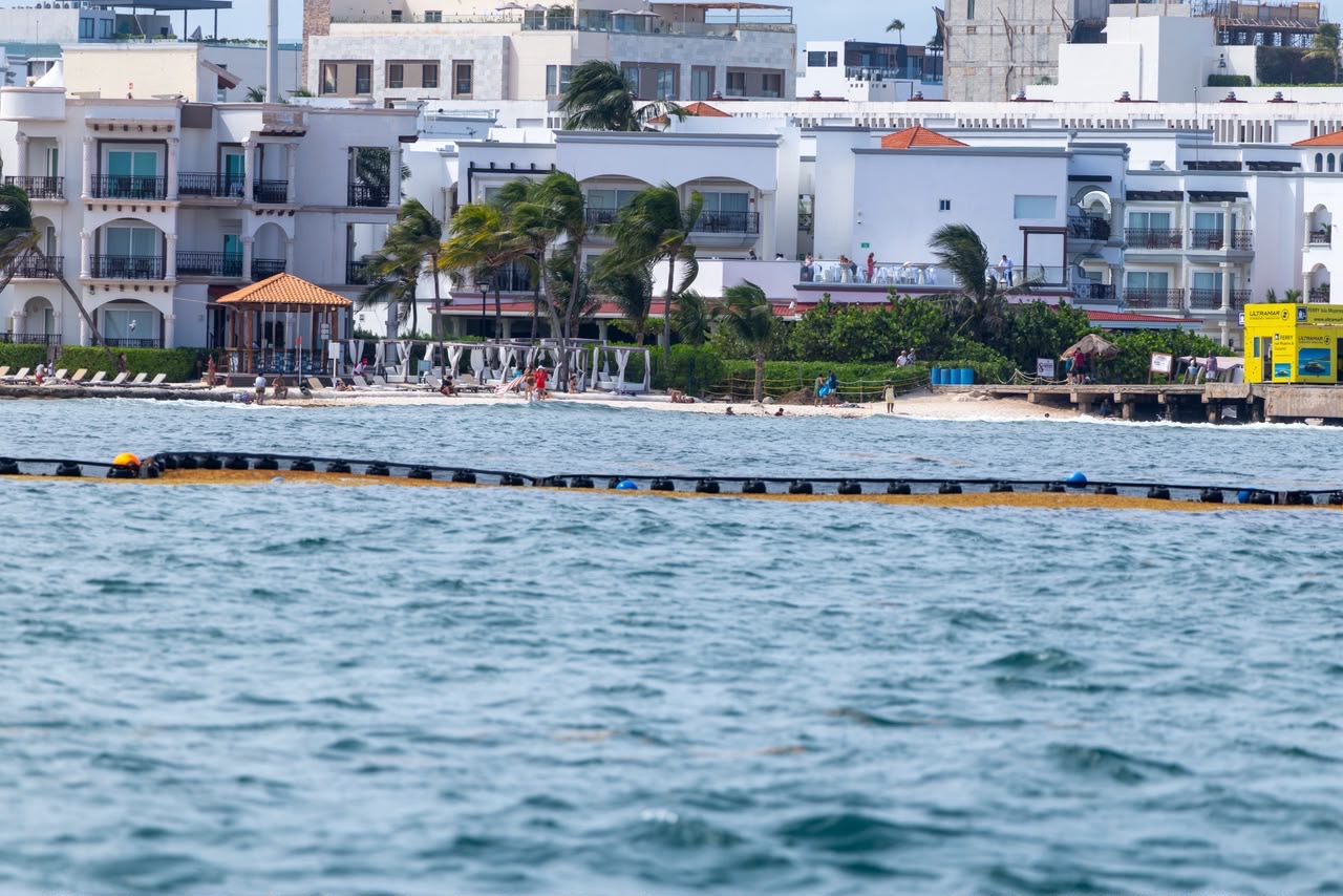 Playa del Carmen impulsa estrategia integral contra el sargazo