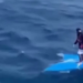 VIDEO; Náufrago rescatado en el Caribe sobrevivió cinco días a la deriva