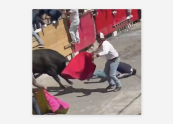 VIDEO; Toro embiste y deja 2 muertos en festival
