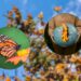 Cambio climático altera territorios de mariposas globalmente