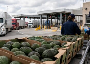 EU suspende inspección de aguacate en Michoacán por amenazas