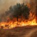 Incendios forestales mantienen en alerta a Atenas