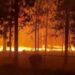 Incendio Mitre Rock obliga evacuación en Washington