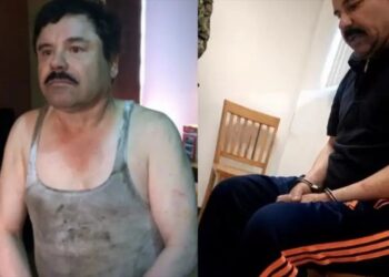 Revelan tres videos inéditos de la captura de Joaquín El Chapo Guzmán en Sinaloa