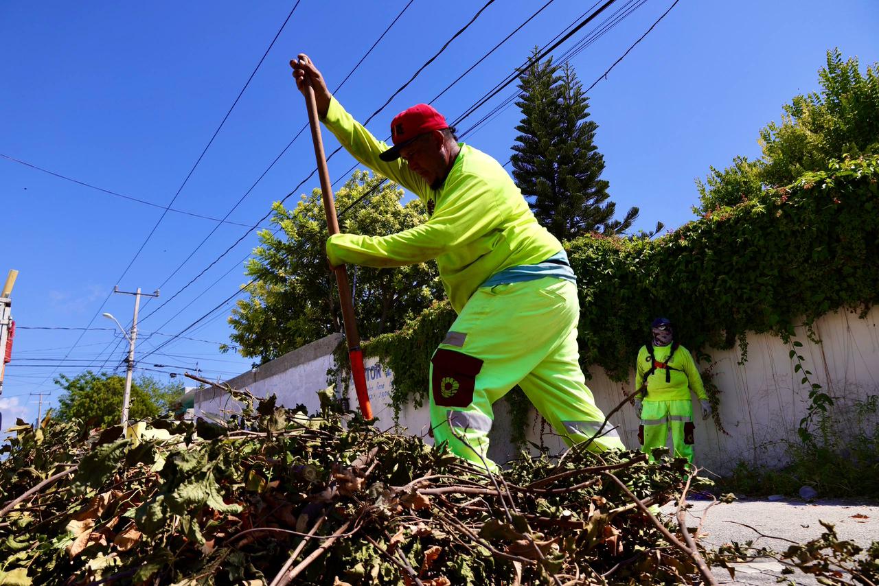 Benito Juárez refuerza jornadas de limpieza y desazolve