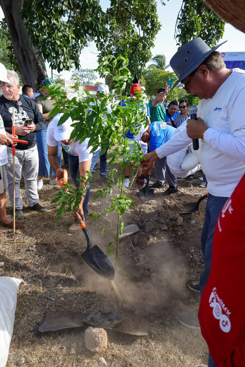 Inicia Fase III de Arboriza Cancún con 11 mil árboles
