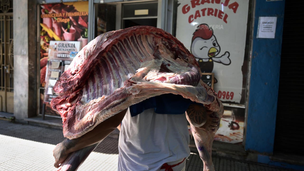 Argentina abre exportación de carne vacuna a Japón