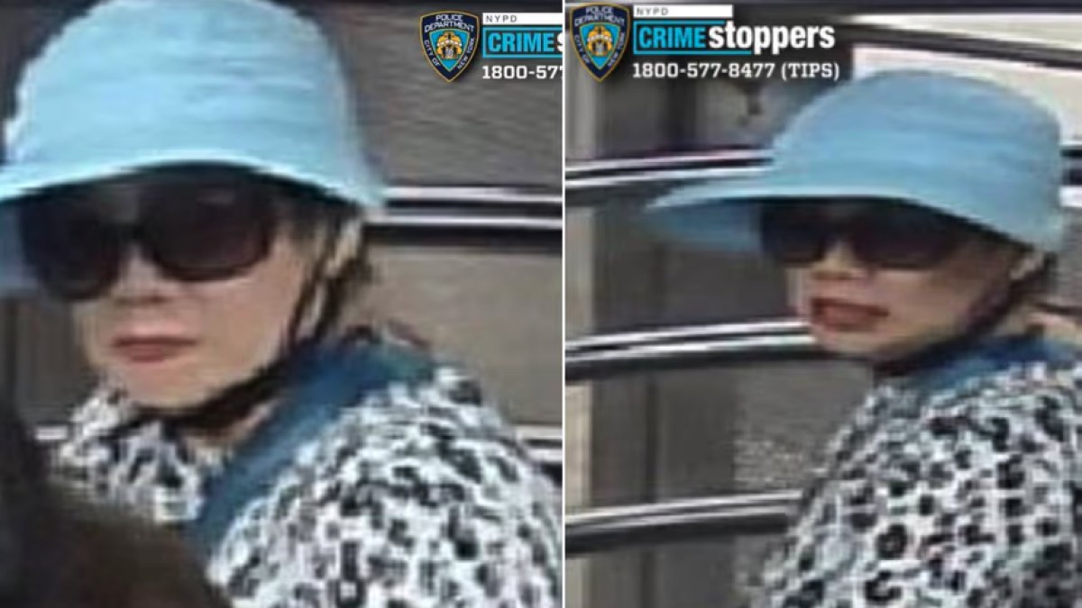 Mujer intenta secuestrar niña en metro de Nueva York