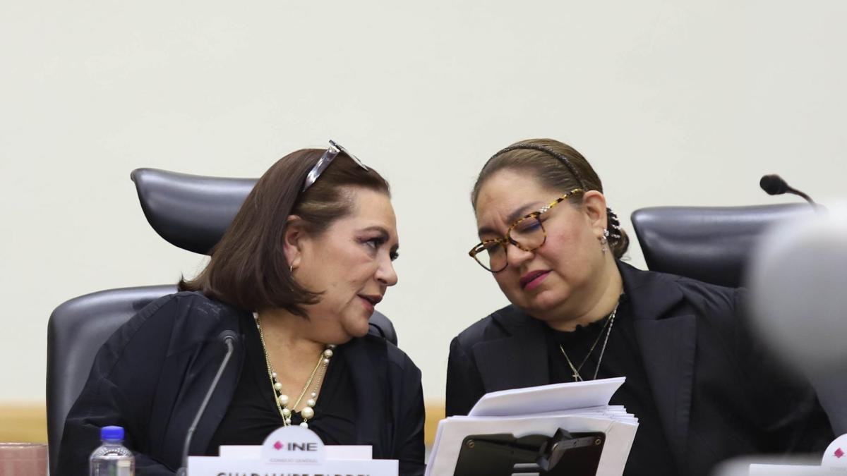 Claudia Arlett Espino renuncia al INE por salud