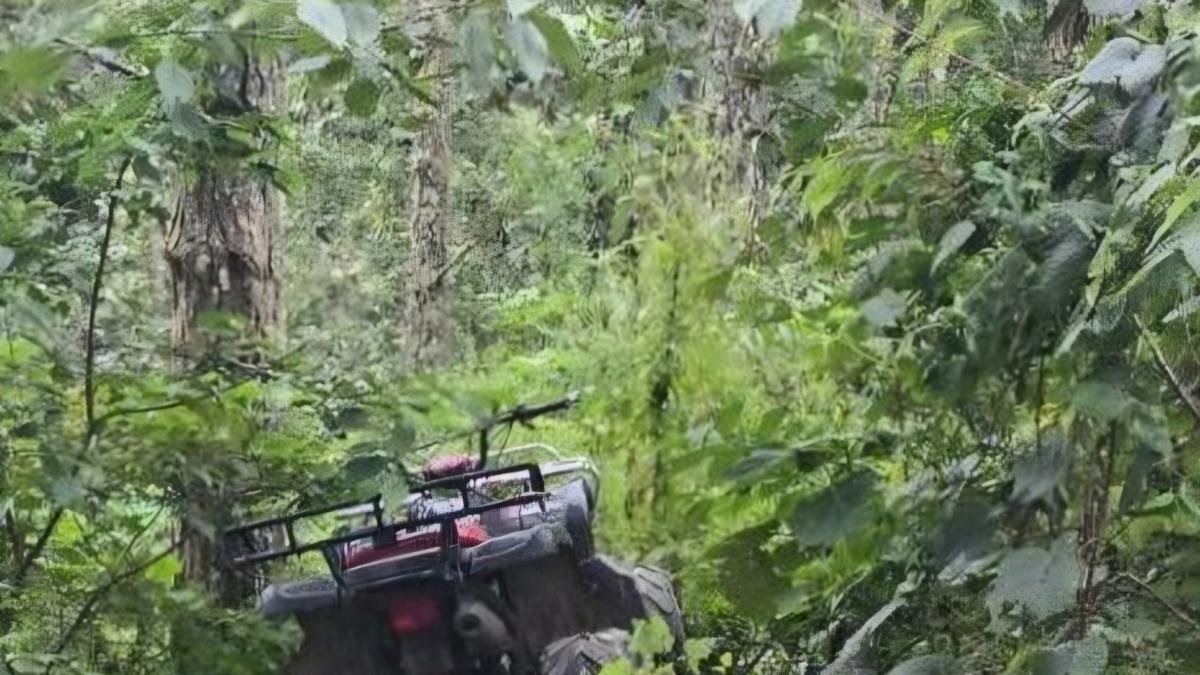 Localizan en cueva a tres menores con Alerta AMBER en Querétaro