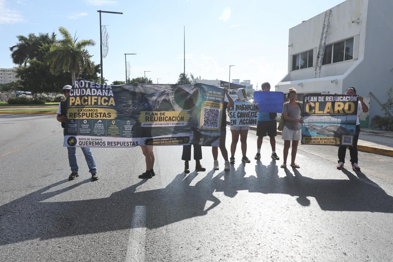 Exigen reubicación de delfines en Ventura Park Cancún