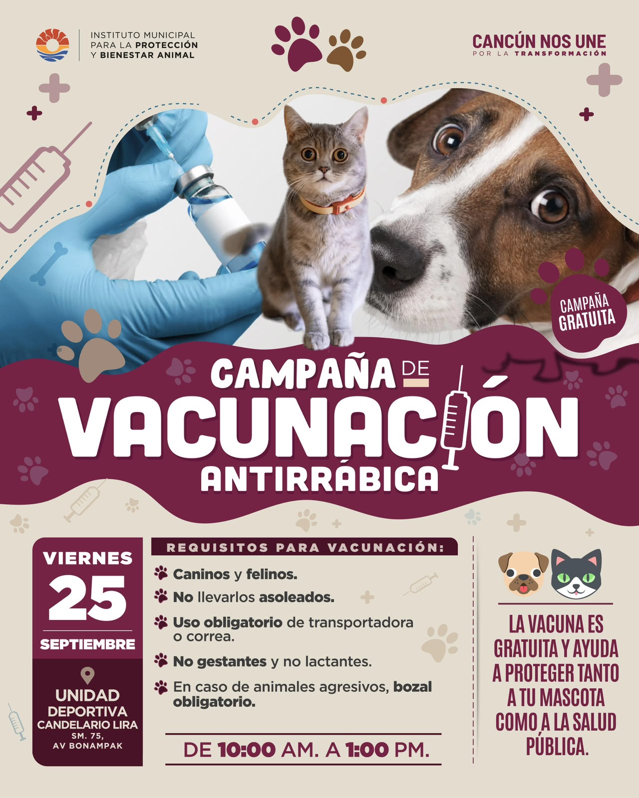 Benito Juárez lanza campaña gratuita antirrábica para mascotas