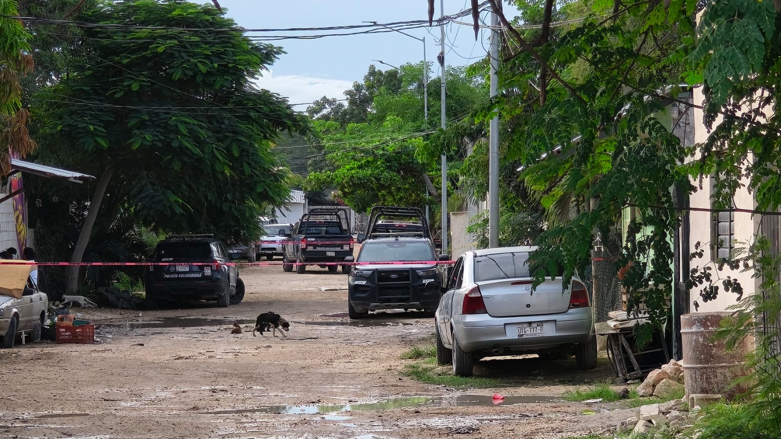 Ejecutan a hombre en invasión In House de Playa del Carmen