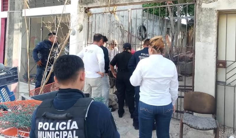 Rescatan a 13 perros maltratados en Supermanzana 220 Cancún