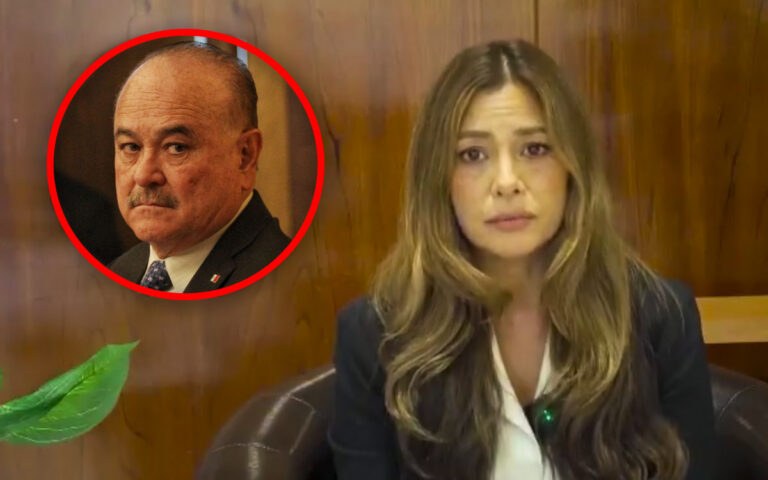 Ruffo Appel detectó irregularidades en capacidad de ferrotanques