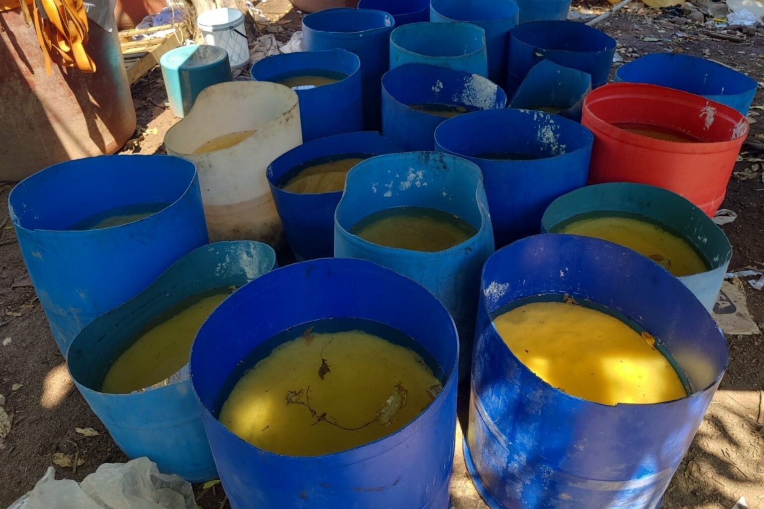 Inhabilitan tres laboratorios clandestinos en Sinaloa