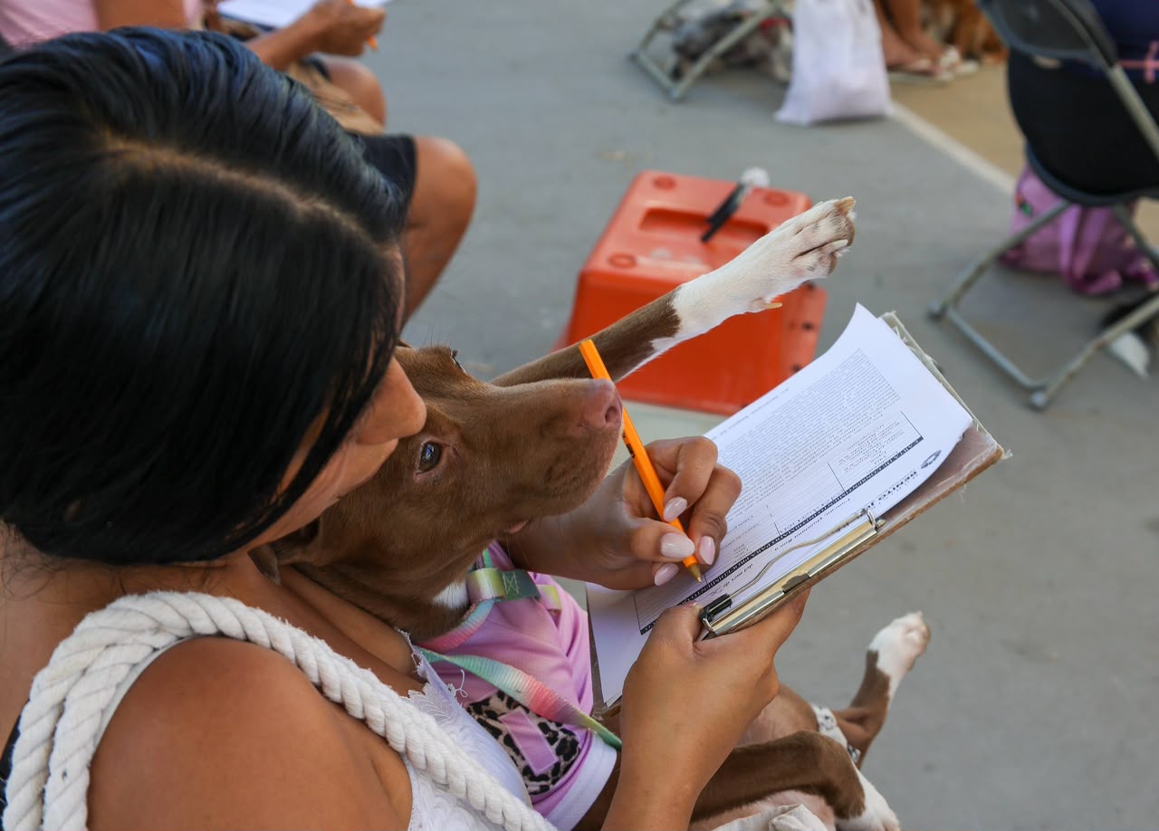 Gobierno municipal realiza 150 esterilizaciones gratuitas en Cancún
