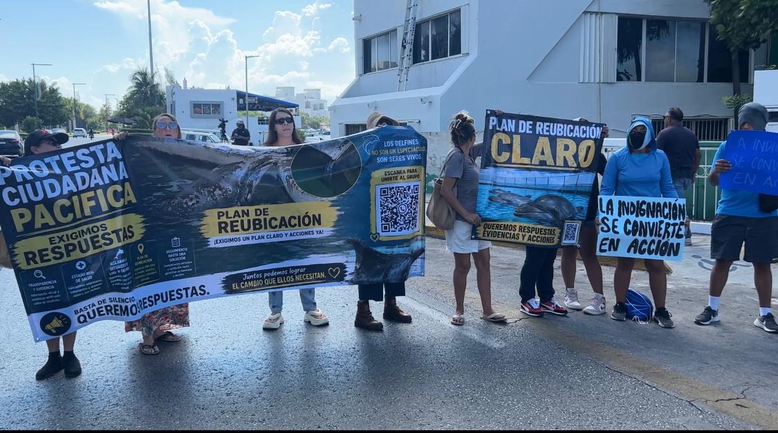 Exigen reubicación de delfines en Ventura Park Cancún