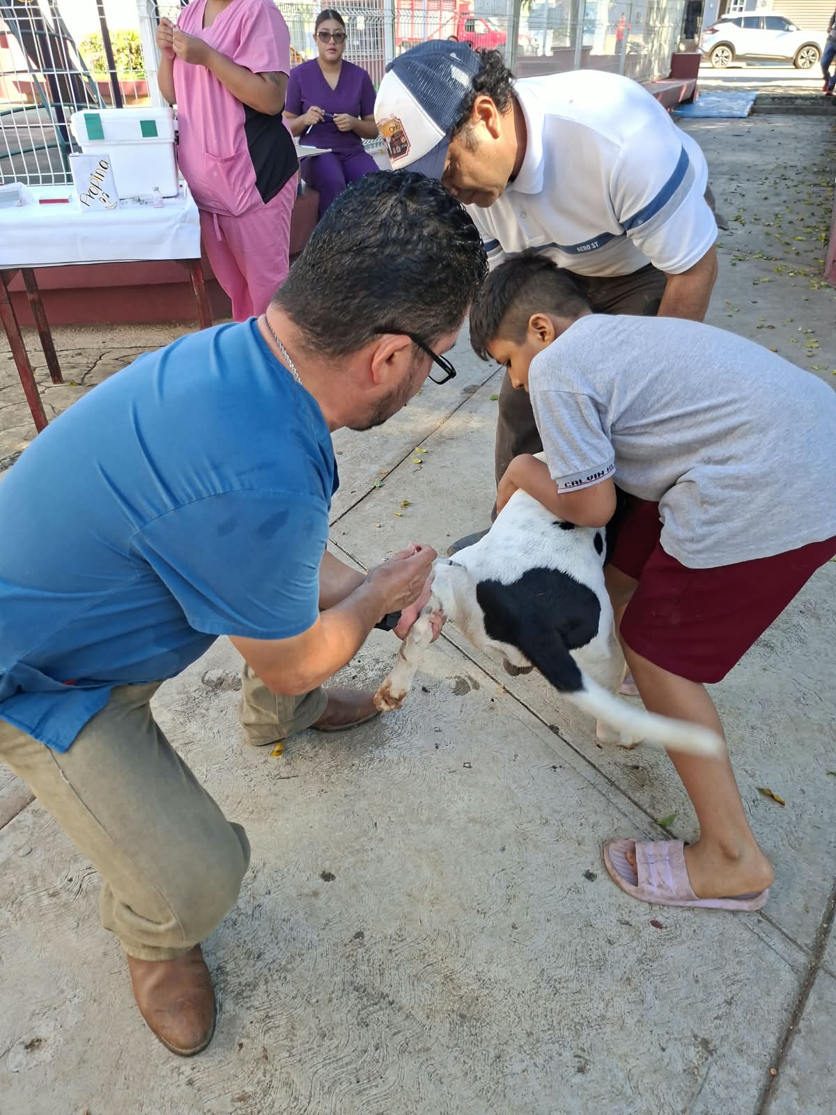 Inicia vacunación antirrábica para perros y gatos