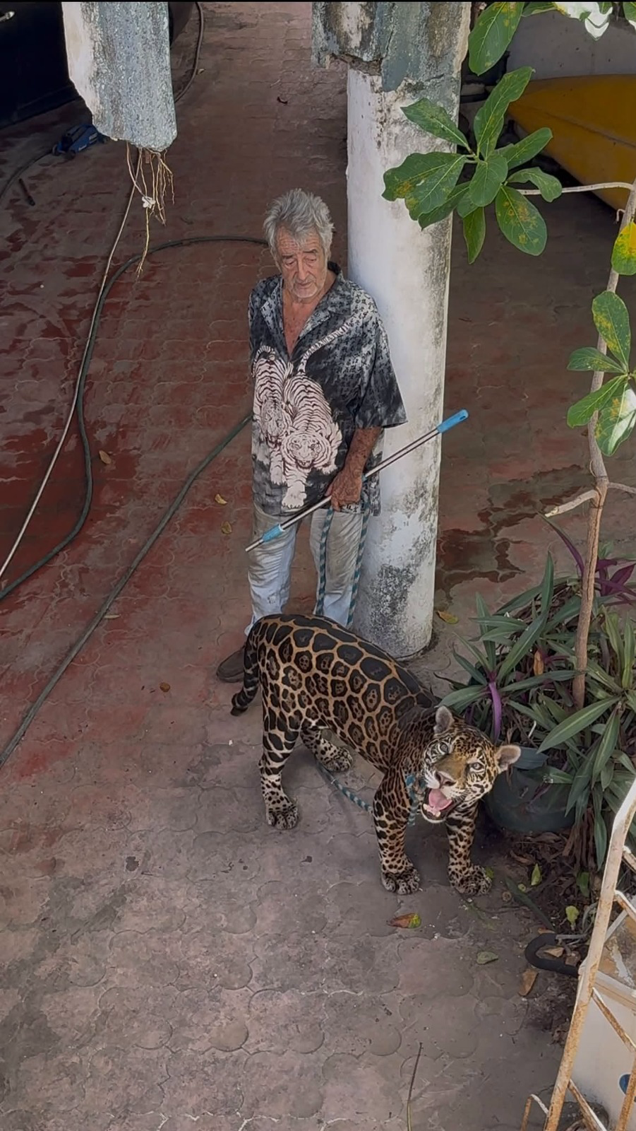 Pepe Tigre denuncia hambre y decomiso de felinos en Quintana Roo