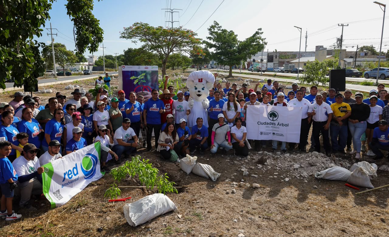 Inicia Fase III de Arboriza Cancún con 11 mil árboles