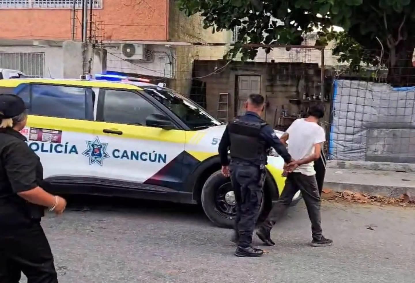 Rescatan a 13 perros maltratados en Supermanzana 220 Cancún