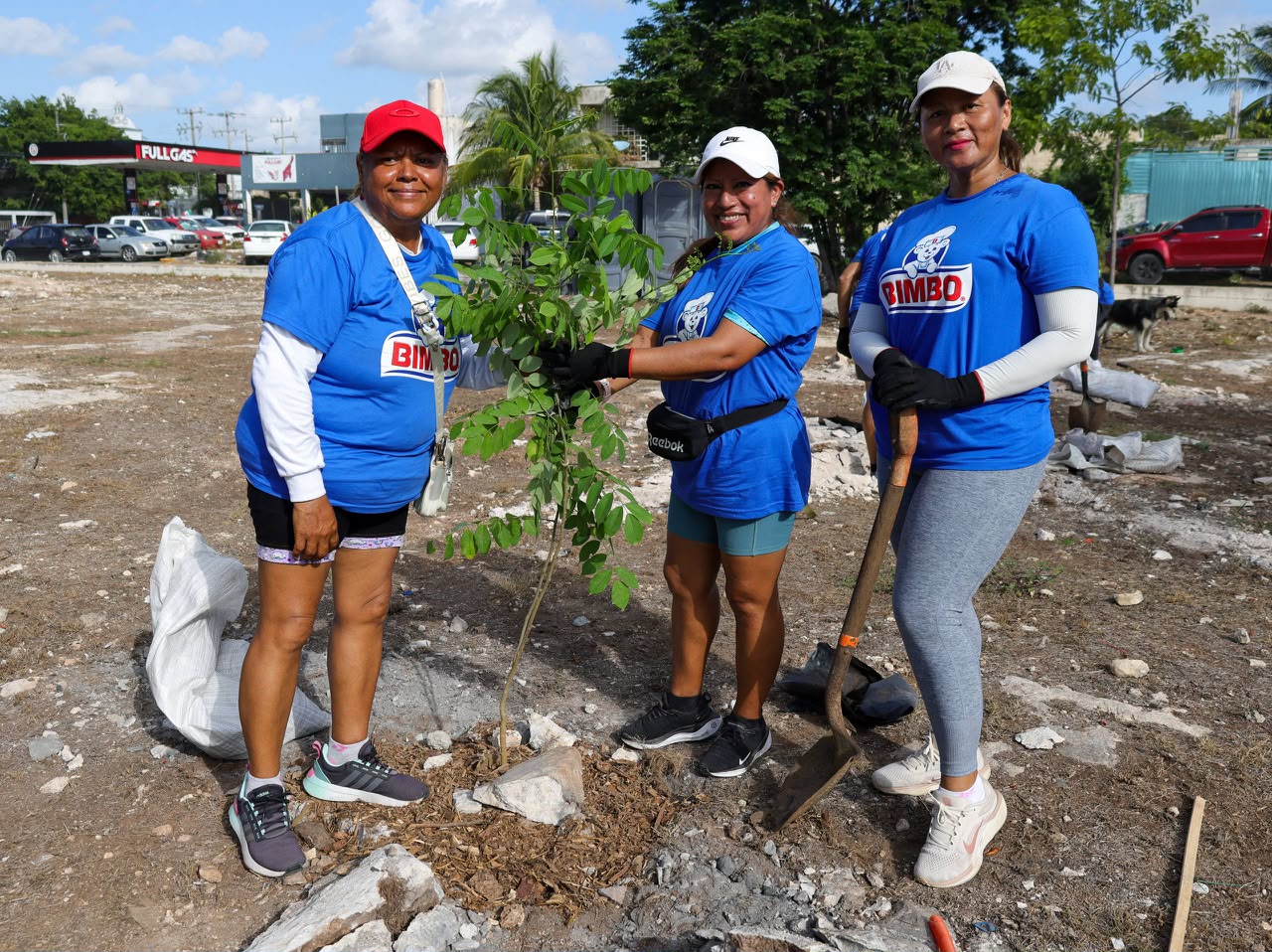 Inicia Fase III de Arboriza Cancún con 11 mil árboles