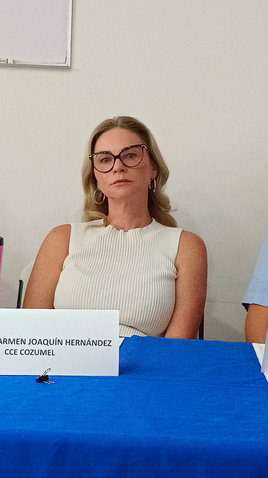 Empresarios de Cozumel exigen catálogo claro a Aduanas