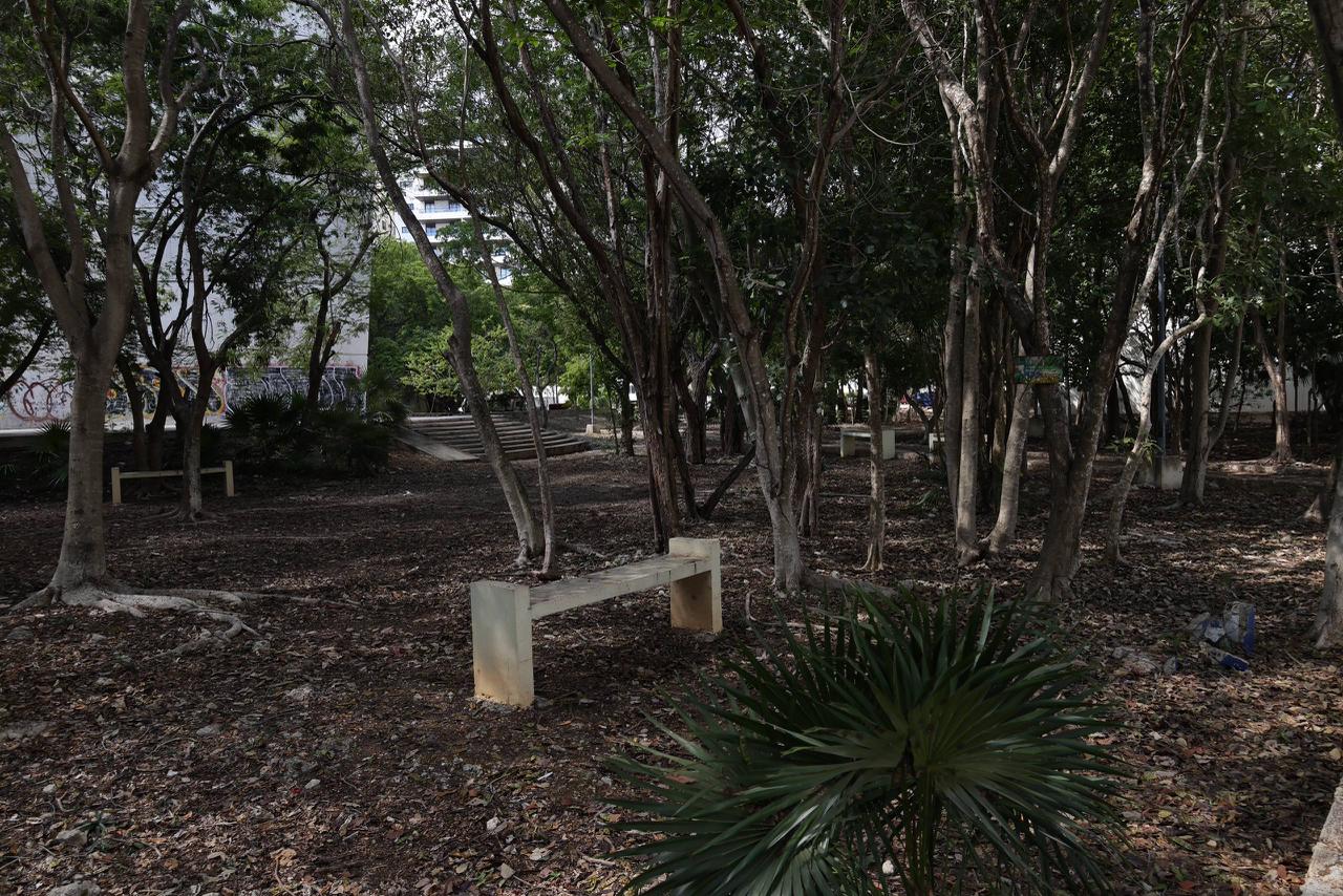 Ayuntamiento de Benito Juárez limpia parques en SM 12