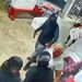 VIDEO; Asalto a tortillería de Cancún: trabajadores fueron sometidos