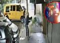 VIDEO; Incendian vehículo y una casa en México; video causa alarma