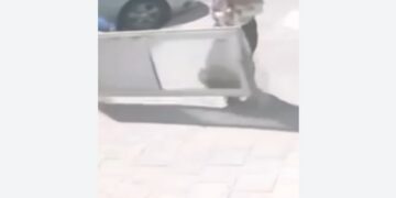 VIDEO; Puerta cae sobre mujer mientras caminaba por la acera