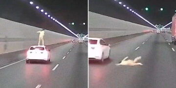 VIDEO: Mujer se lanza de un auto en movimiento